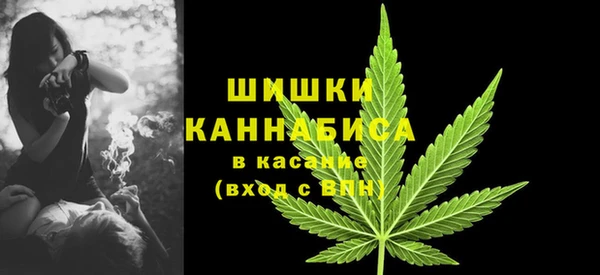 spice Горнозаводск
