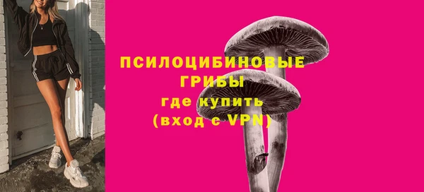 а пвп мука Горняк