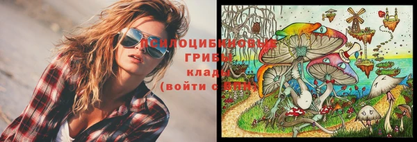 а пвп мука Горняк