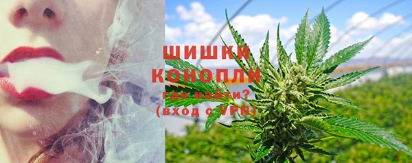 spice Горнозаводск
