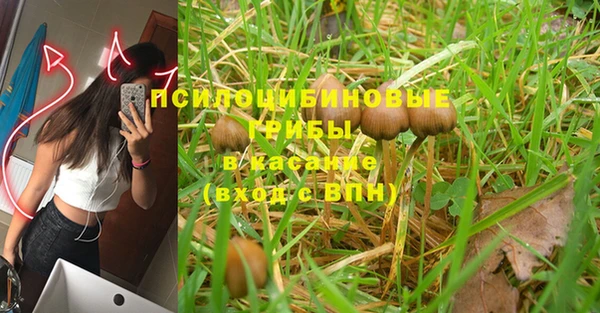 spice Горнозаводск