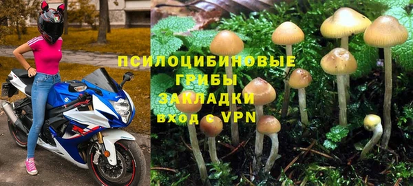 spice Горнозаводск