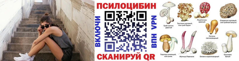 Псилоцибиновые грибы MAGIC MUSHROOMS  Купить закладки  Баймак 